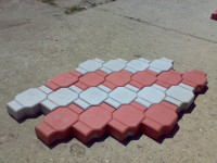 /album/galerie-foto%3a-acas%c4%833/a080620092869-jpg1/