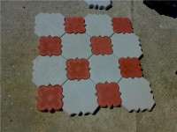 /album/galerie-foto%3a-acas%c4%833/b15c0fa311451684e0831922884a4eb6-jpg/